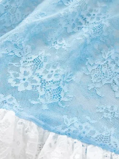Babydolls Lingerie Light Sky Blue Lace Floral Print Sheer Dress