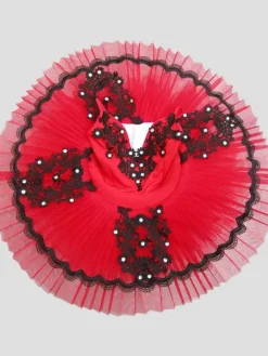 Ballerina Dress Gilrs Latin Dance Costume Kids Lace Pleated Training Tutu Dancing Dresses