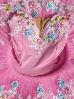 Ballet Dance Costume Pink Lace Flowers Pleated Ballerina Dress