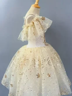 Ballet Dance Costumes Champagne Girl's Ballerina Polyester Dress Performance Wear