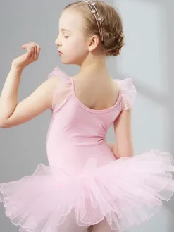 Ballet Dance Costumes Lilac Sleeveless Slim Fit Ballerina Tutu Dresses For Kids