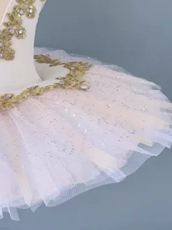 Ballet Dance Costumes Salmon Women's Kid's Ballerina Applique Jumper Skirt Tunic Dancing Wear