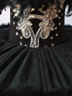 Ballet Dress Black Girl's Kid's Ballerina Feathers Ruffles Lace Polyester Dress Dancing Wear