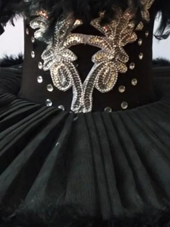 Ballet Dress Black Girl's Kid's Ballerina Feathers Ruffles Lace Polyester Dress Dancing Wear