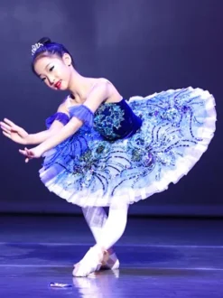 Ballet Dress Deep Blue Adults Kid's Ballerina Ruffles Lace Floral Print Polyester Dress Performance Wear