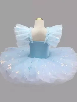 Ballet Dress Light Sky Blue Girl's Kid's Snow Applique Ballerina Polyester Dress Performance Wear