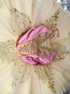 Ballet Dress Pink Women's Kid's Ballerina Ruffles Lace Polyester Dress Dancing Wear