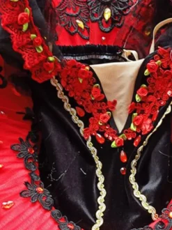 Ballet Dress Red Girl's Adult's Ballerina Rhinestones Flowers Lace Polyester Dress Set Performance Wear