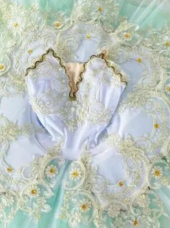 Ballet Dance Costumes Blue Women's Kid's Ballerina Ruffles Lace Polyester Dress Dancing Wear