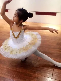 Ballet Dance Dress White Lace Embroidered Tutu Ballerina Dresses