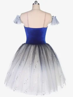 Ballet Dress Blue Women's Kid's Ballerina Rhinestones Ruffles Lace Polyester Dress Performance Wear