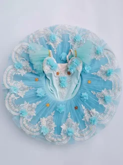Ballet Dress Light Sky Blue Girl's Kid's Ballerina Polyester Lace Applique Net Dress Performance Wear