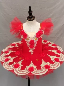 Ballet Dress Light Sky Blue Girl's Kid's Ballerina Polyester Lace Applique Net Dress Performance Wear