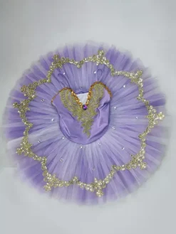 Ballet Dress Purple Girl's Kid's Ballerina Lace Applique Sequins Dress Performance Wear