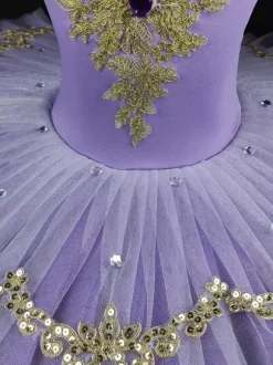 Ballet Dress Purple Girl's Kid's Ballerina Lace Applique Sequins Dress Performance Wear
