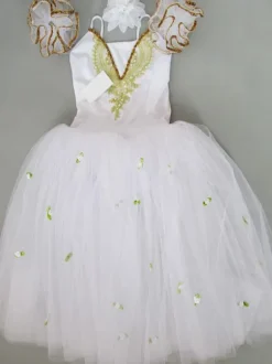 Ballet Dress Tutu Girls Embroidered Ballerina Dresses Pink Ballet Dance Costume