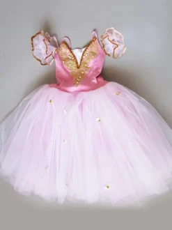Ballet Dress Tutu Girls Embroidered Ballerina Dresses Pink Ballet Dance Costume