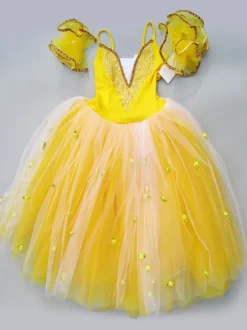 Ballet Dress Tutu Girls Embroidered Ballerina Dresses Pink Ballet Dance Costume