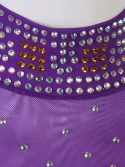Ballroom Dance Costumes Purple Women's Lycra Spandex Set Dance Dress