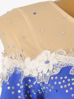 Ballroom Dance Costumes Royal Blue Women's Jewel Neck Lycra Spandex Dress Flowers Dance Dress