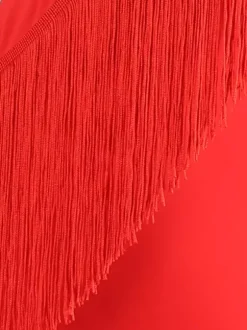 Ballroom Dance Costumes Ture Red Women's Lycra Spandex Dress Fringe Dance Dress