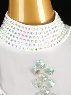 Ballroom Dance Costumes White Women's Sexy Stand Collar Lycra Spandex Dress Fringe Dance Dress