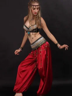 Belly Dance Costume 3 Piece Harem Pants Costumes Dancing Wear For Women