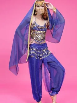 Belly Dance Costume Chiffon Rose Beaded Top With Pants And Veil Bollywood Dance Costume