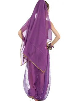 Belly Dance Costume Kids Blue Chiffon Sleeveless Indian Bollywood Dancing Costumes