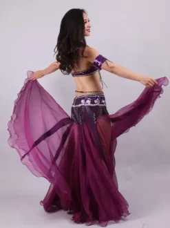 Belly Dance Costume Performance Women Dancing Wear 5-Piece Sets Outfit