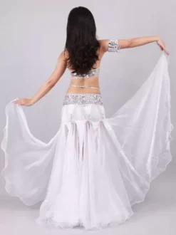 Belly Dance Costume Performance Women Dancing Wear 5-Piece Sets Outfit