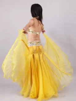 Belly Dance Costume Performance Women Dancing Wear 5-Piece Sets Outfit