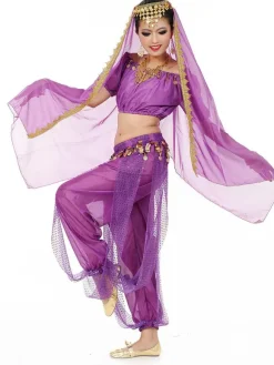 Belly Dance Costume Charming Chiffon Bollywood Dance Dress For Women With Veil
