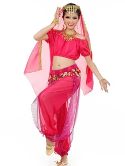 Belly Dance Costume Charming Chiffon Bollywood Dance Dress For Women With Veil