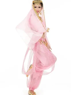 Belly Dance Costume Charming Chiffon Bollywood Dance Dress For Women With Veil