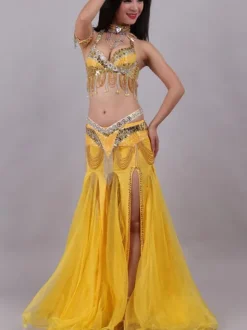 Belly Dance Costume Sequin Bollywood Dance Costume