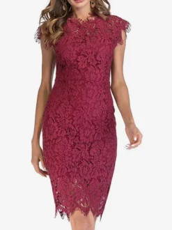 Birthday Bodycon Lace Dresses Designed Neckline Midi Sheath Dress Casual Pencil Dress 2026