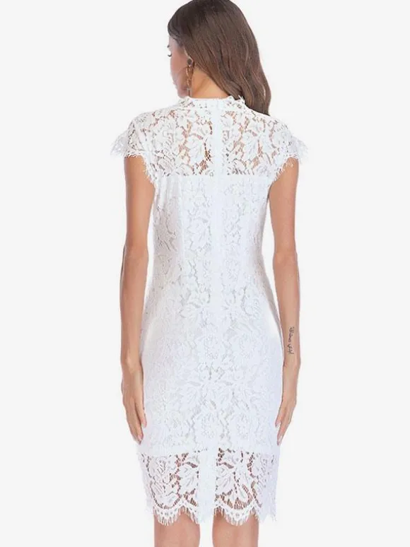 Birthday Bodycon Lace Dresses Designed Neckline Midi Sheath Dress Casual Pencil Dress 2026