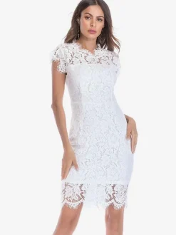Birthday Bodycon Lace Dresses Designed Neckline Midi Sheath Dress Casual Pencil Dress 2026