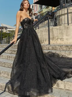 Black Loyal Wedding Dresses Lace A-Line Sleeveless Natural Waist Lace Court Train Bridal Gown