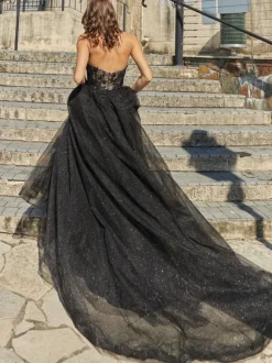 Black Loyal Wedding Dresses Lace A-Line Sleeveless Natural Waist Lace Court Train Bridal Gown