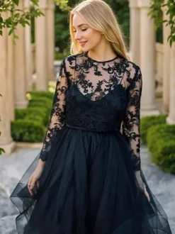 Black Loyal Wedding Dresses Princess Silhouette Long Sleeves Cut Out Tulle With Train Bridal Dress