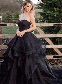 Black Wedding Dresses Tulle Ball Gown Sleeveless With Train Bridal Gown Free Customization