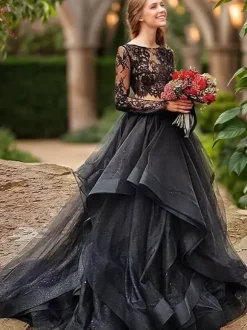 Black Loyal Wedding Dresses Princess Silhouette Long Sleeves Cut Out Tulle With Train Bridal Gown