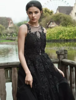 Black Wedding Dresses Lace A-Line Sleeveless Natural Waist Lace With Train Bridal Gown