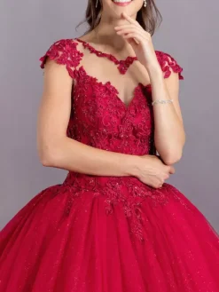 Black Wedding Dress With Train V-Neck Sleeveless Backless Polyester Lace Tulle A-Line