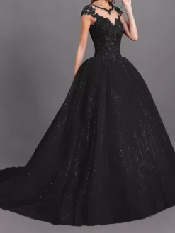 Black Wedding Dress With Train V-Neck Sleeveless Backless Polyester Lace Tulle A-Line