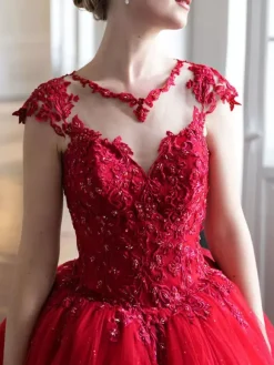 Black Wedding Dress With Train V-Neck Sleeveless Backless Polyester Lace Tulle A-Line