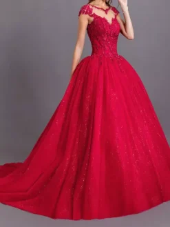Black Wedding Dress With Train V-Neck Sleeveless Backless Polyester Lace Tulle A-Line