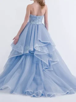 Blue Wedding Dresses A-Line Strapless Sleeveless Backless Lace With Train Bridal Gown Free Customization